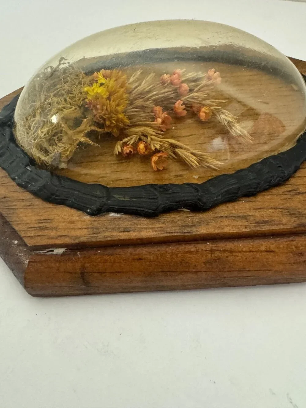 Vintage Dried Flowers Wall Hanging Art Convex Bubble Glass Wood Plaque.